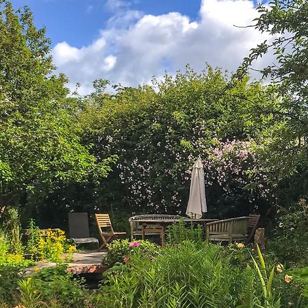 Ynywsen Dairy Flat Villa Llanfynydd Eksteriør billede